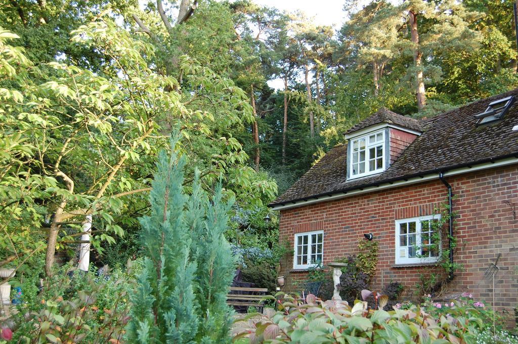 Ferienwohnung The Haven At Talysarn Ascot  Zimmer foto